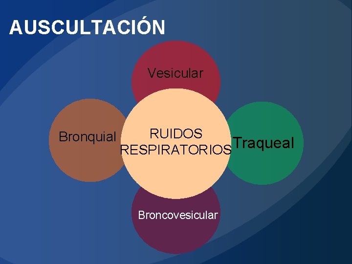 AUSCULTACIÓN Vesicular Bronquial RUIDOS Traqueal RESPIRATORIOS Broncovesicular 