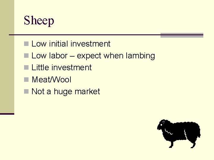 Sheep n Low initial investment n Low labor – expect when lambing n Little