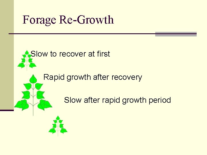 Forage Re-Growth Slow to recover at first Rapid growth after recovery Slow after rapid