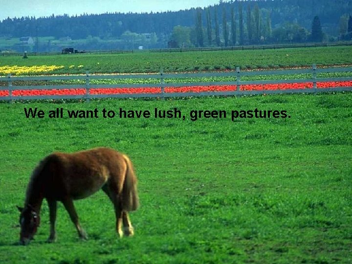 We all want to have lush, green pastures. 