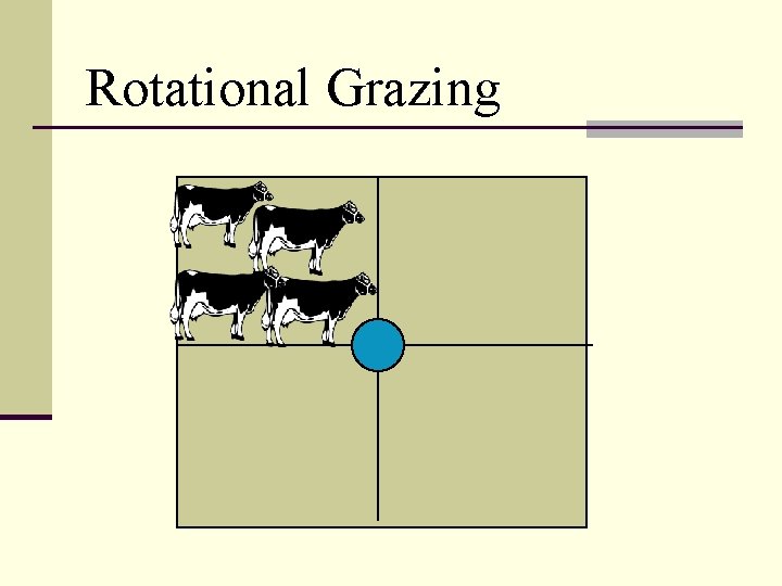 Rotational Grazing 