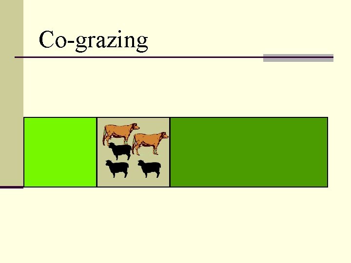 Co-grazing 