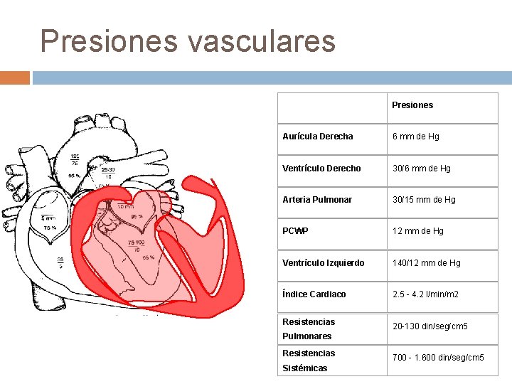 Presiones vasculares Presiones Aurícula Derecha 6 mm de Hg Ventrículo Derecho 30/6 mm de Presiones vasculares Presiones Aurícula Derecha 6 mm de Hg Ventrículo Derecho 30/6 mm de