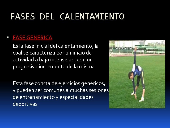 FASES DEL CALENTAMIENTO FASE GENÉRICA Es la fase inicial del calentamiento, la cual se