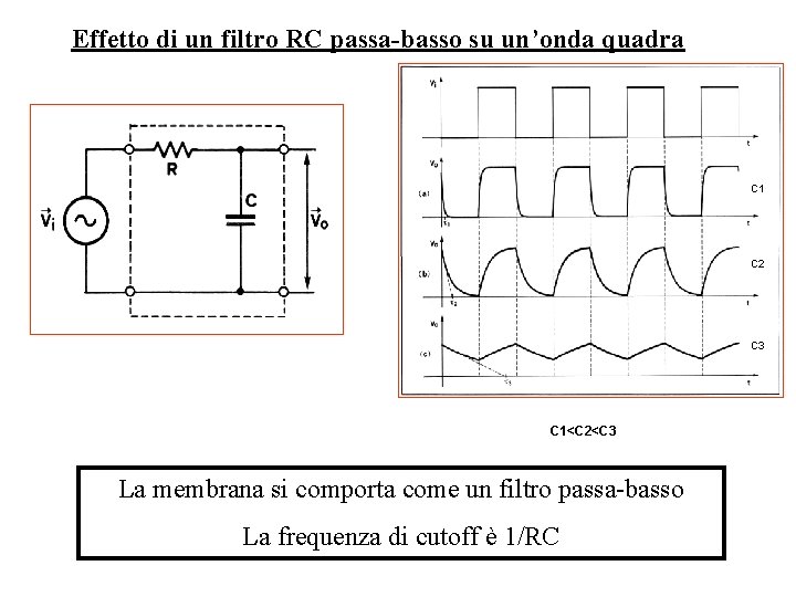 Effetto di un filtro RC passa-basso su un’onda quadra C 1 C 2 C