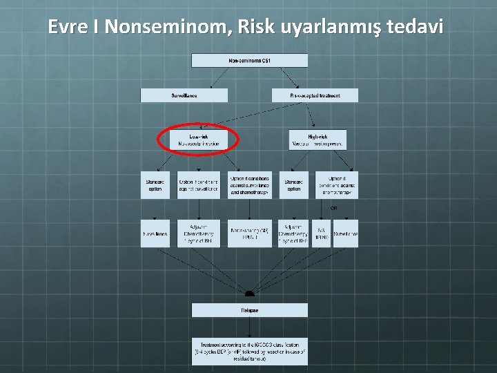Evre I Nonseminom, Risk uyarlanmış tedavi 