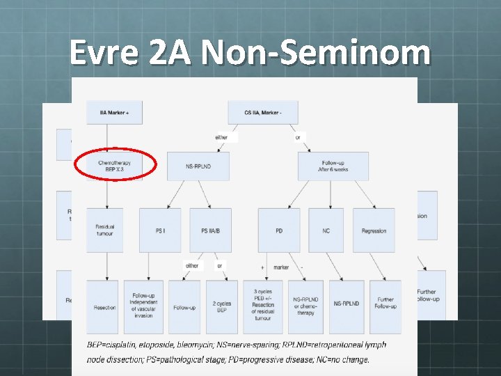 Evre 2 A Non-Seminom 