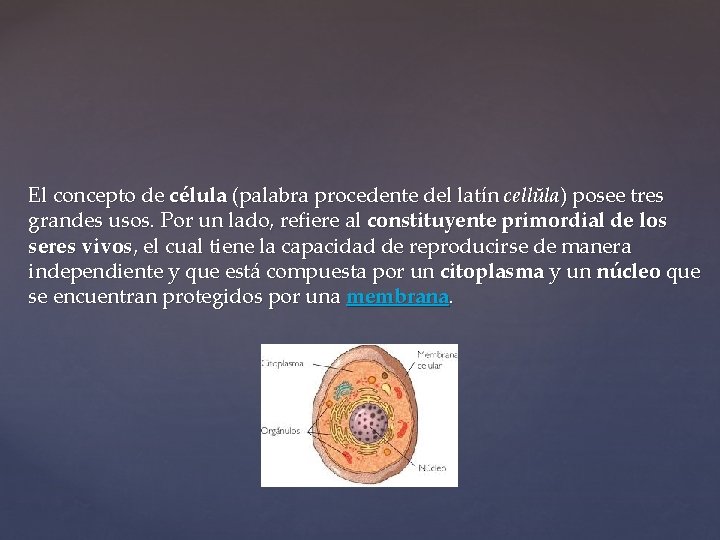 El concepto de célula (palabra procedente del latín cellŭla) posee tres grandes usos. Por