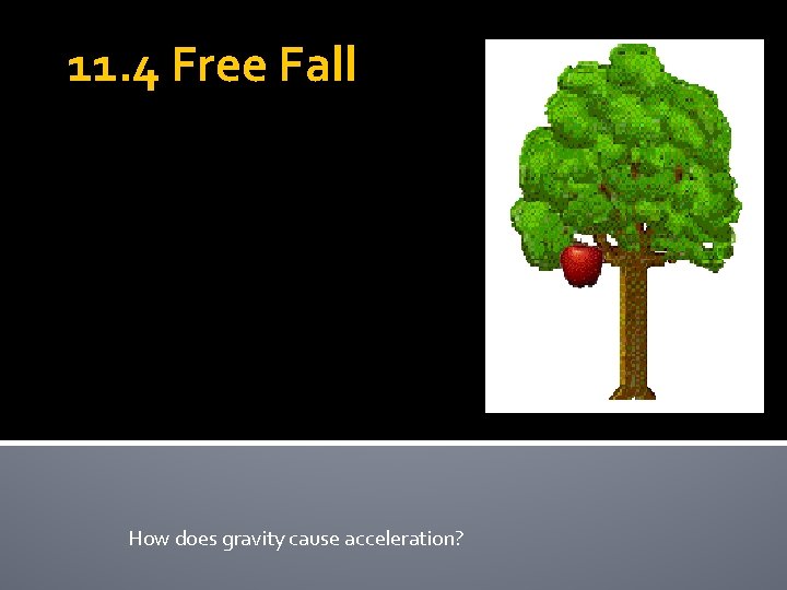 11. 4 Free Fall How does gravity cause acceleration? 