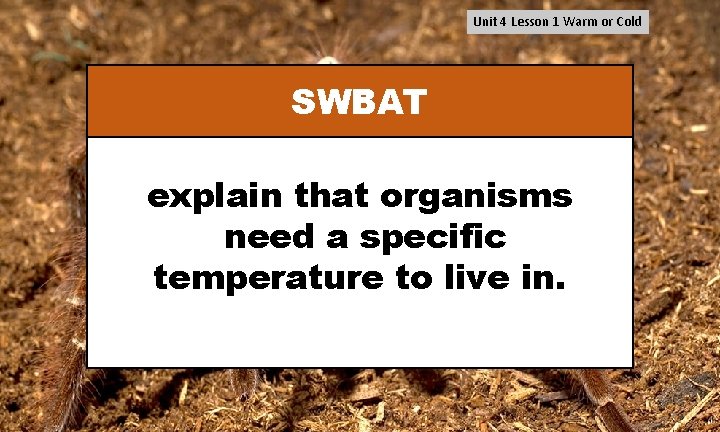 Unit 4 Lesson 1 Warm or Cold SWBAT explain that organisms need a specific