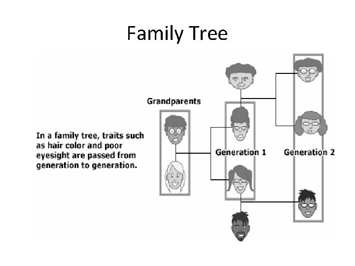 Family Tree 