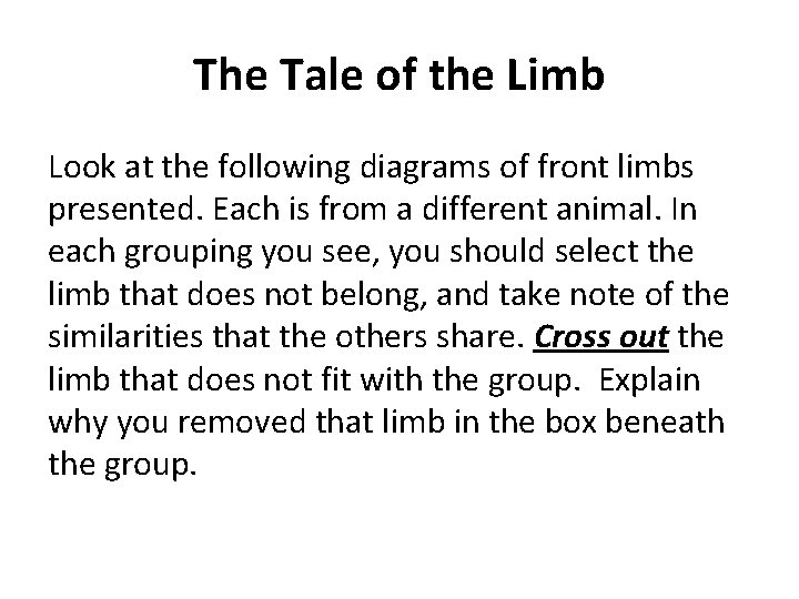 The Tale of the Limb Look at the following diagrams of front limbs presented.