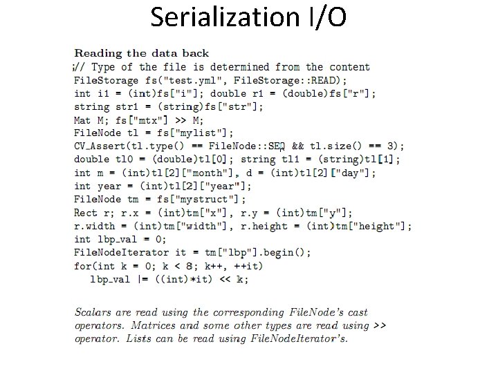 Serialization I/O 