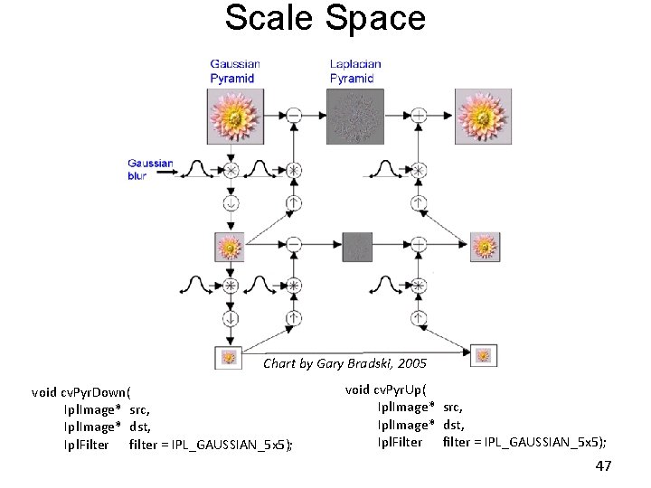 Scale Space Chart by Gary Bradski, 2005 void cv. Pyr. Down( Ipl. Image* src,