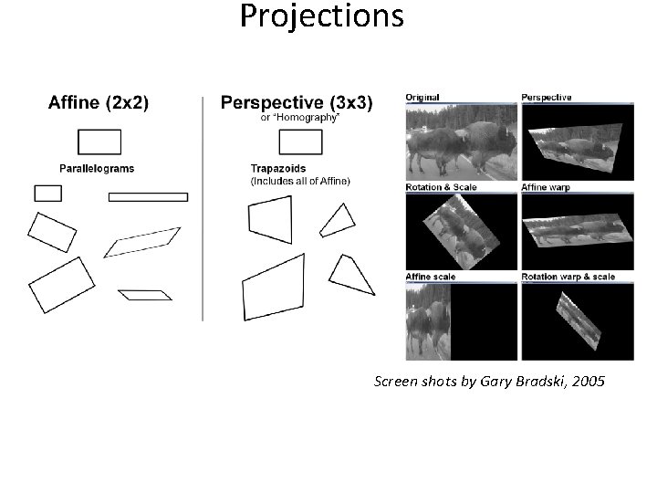 Projections Screen shots by Gary Bradski, 2005 