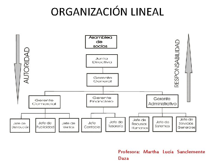ORGANIZACIÓN LINEAL Profesora: Martha Lucía Sanclemente Daza ORGANIZACIÓN LINEAL Profesora: Martha Lucía Sanclemente Daza