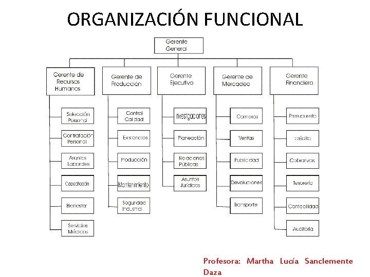 ORGANIZACIÓN FUNCIONAL Profesora: Martha Lucía Sanclemente Daza ORGANIZACIÓN FUNCIONAL Profesora: Martha Lucía Sanclemente Daza