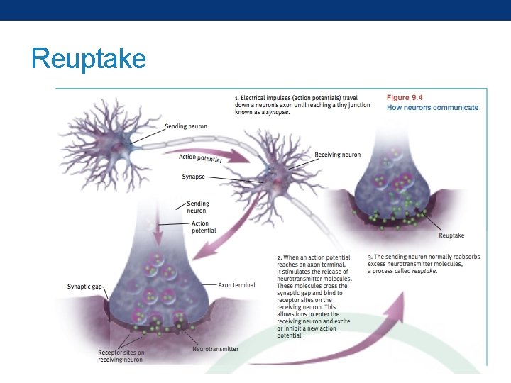 Reuptake 