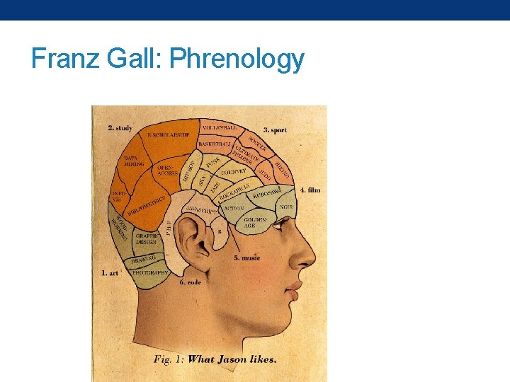 Franz Gall: Phrenology 