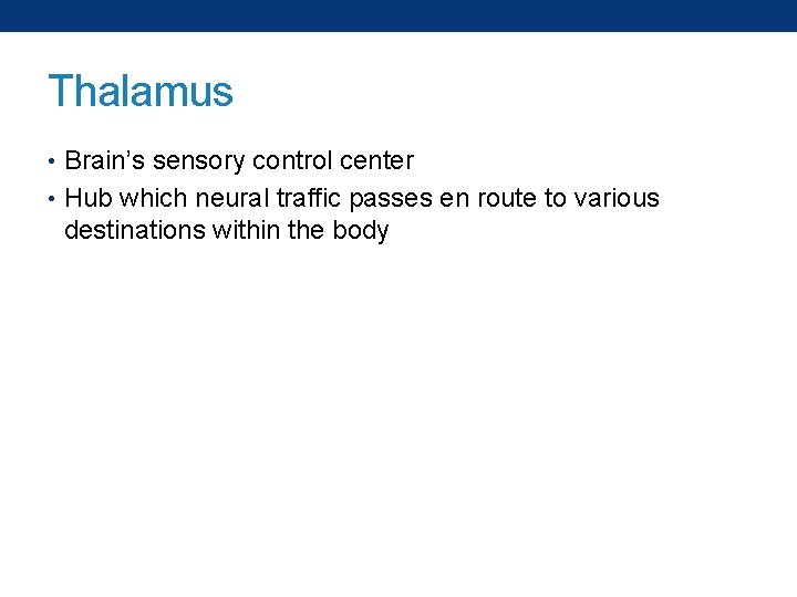 Thalamus • Brain’s sensory control center • Hub which neural traffic passes en route