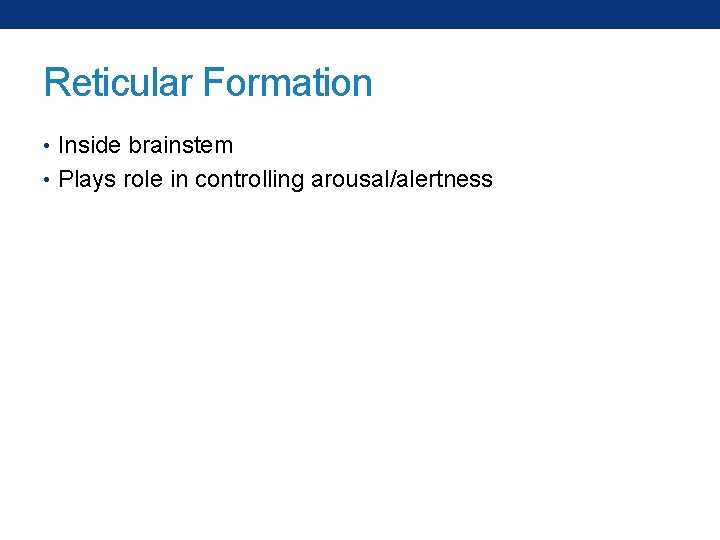 Reticular Formation • Inside brainstem • Plays role in controlling arousal/alertness 