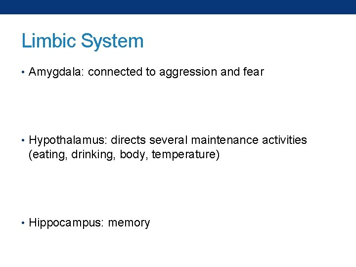 Limbic System • Amygdala: connected to aggression and fear • Hypothalamus: directs several maintenance