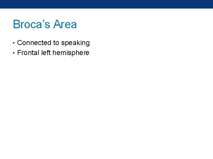 Broca’s Area • Connected to speaking • Frontal left hemisphere 