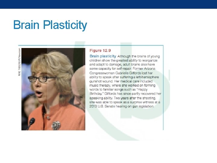 Brain Plasticity 
