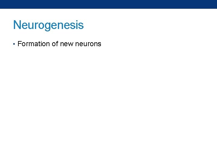 Neurogenesis • Formation of new neurons 