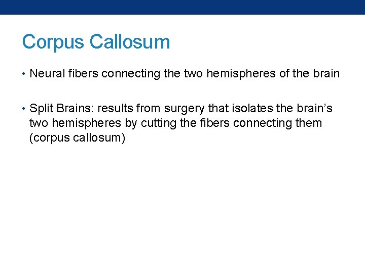 Corpus Callosum • Neural fibers connecting the two hemispheres of the brain • Split