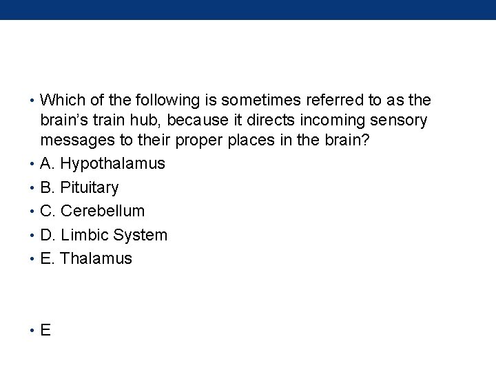  • Which of the following is sometimes referred to as the brain’s train
