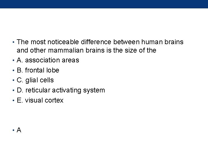  • The most noticeable difference between human brains and other mammalian brains is