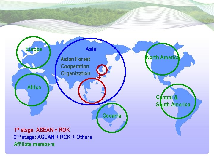 Europe Asian Forest Cooperation Organization North America + Africa Central & South America Oceania