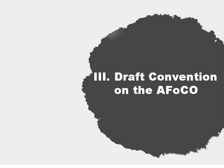 III. Draft Convention on the AFo. CO 