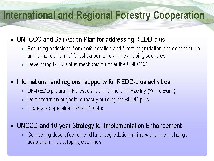 International and Regional Forestry Cooperation UNFCCC and Bali Action Plan for addressing REDD-plus Reducing