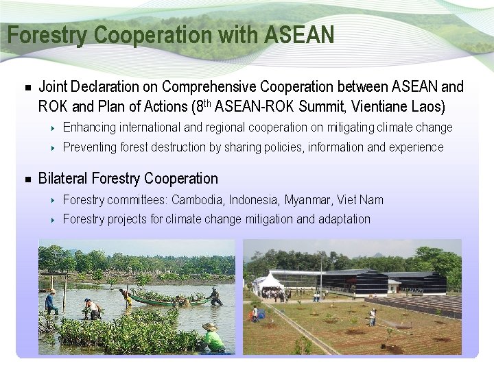 Forestry Cooperation with ASEAN Joint Declaration on Comprehensive Cooperation between ASEAN and ROK and