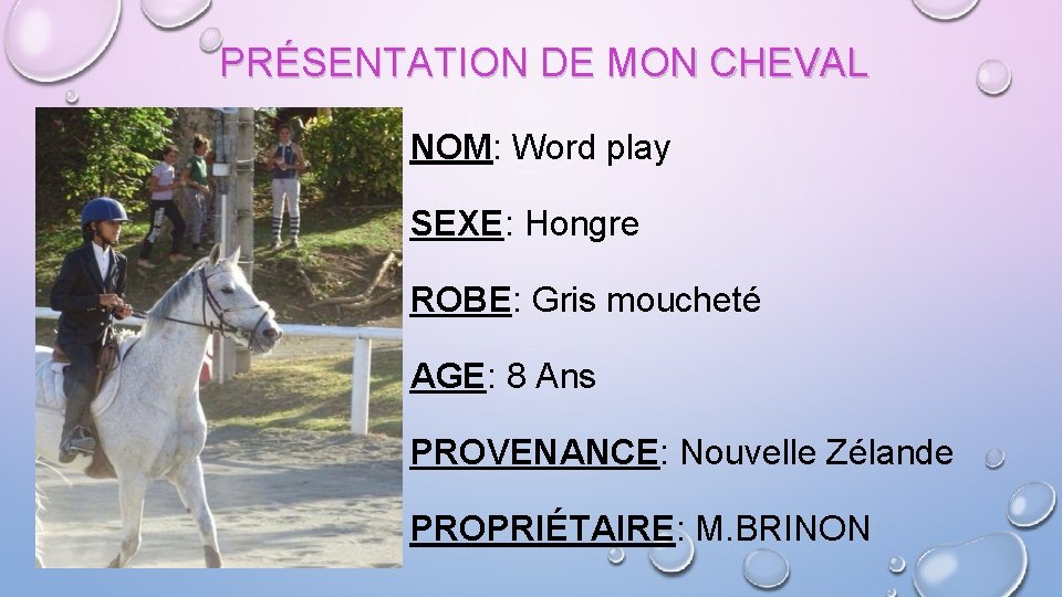 PRÉSENTATION DE MON CHEVAL NOM: Word play SEXE: Hongre ROBE: Gris moucheté AGE: 8
