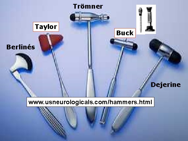 Trömner Taylor Buck Berlinés Dejerine www. usneurologicals. com/hammers. html 