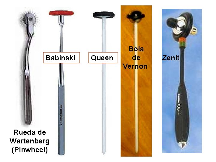 Babinski Rueda de Wartenberg (Pinwheel) Queen Bola de Vernon Zenit 