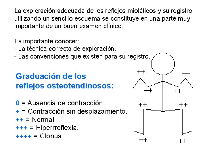 La exploración adecuada de los reflejos miotáticos y su registro utilizando un sencillo esquema