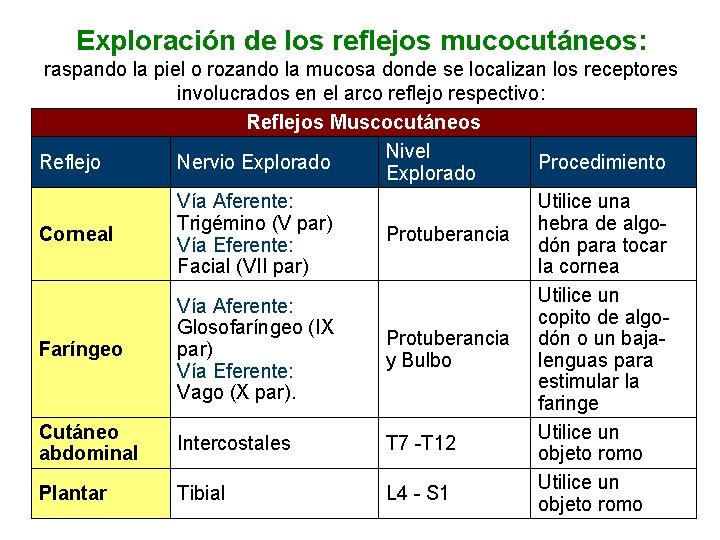 Exploración de los reflejos mucocutáneos: raspando la piel o rozando la mucosa donde se