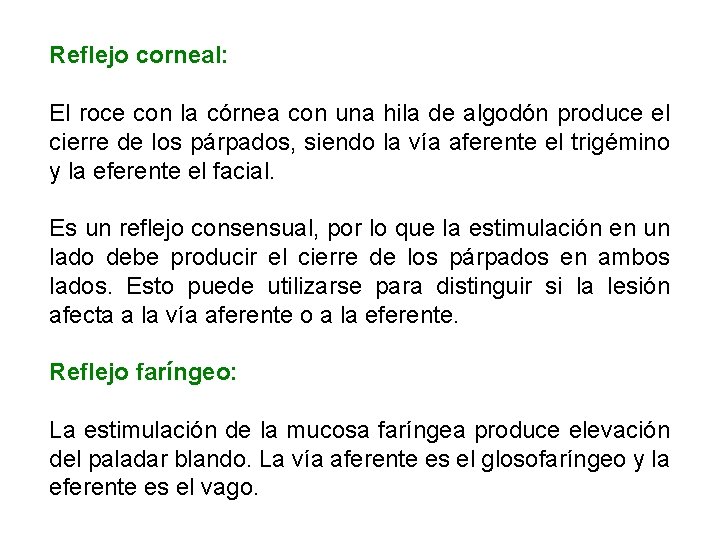 Reflejo corneal: El roce con la córnea con una hila de algodón produce el