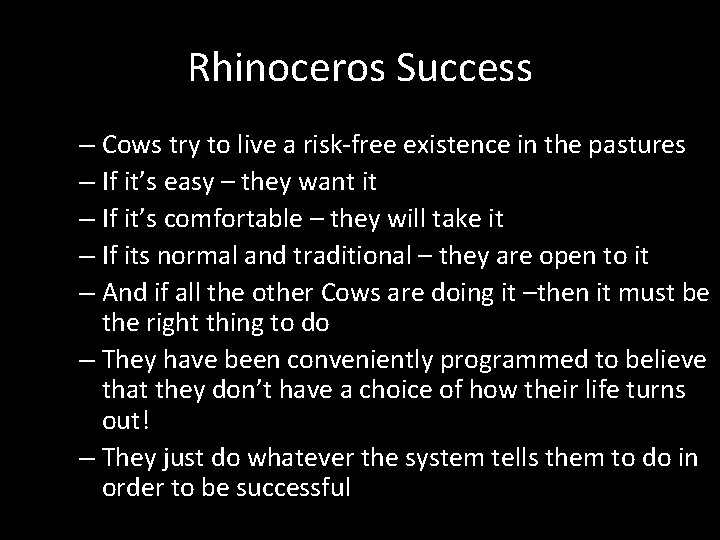 Rhinoceros Success – Cows try to live a risk-free existence in the pastures –