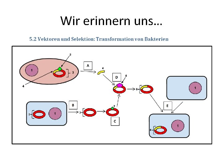Wir erinnern uns… Wir erinnern uns…