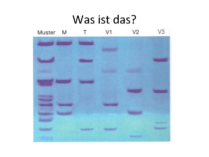 Was ist das? Was ist das?