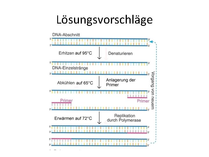 Lösungsvorschläge 