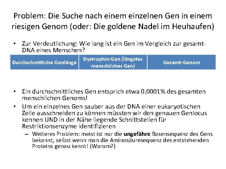 Problem: Die Suche nach einem einzelnen Gen in einem riesigen Genom (oder: Die goldene Problem: Die Suche nach einem einzelnen Gen in einem riesigen Genom (oder: Die goldene