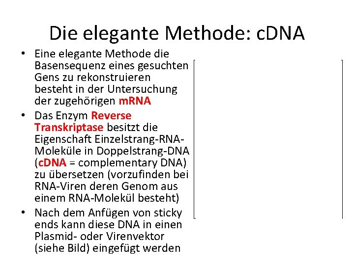 Die elegante Methode: c. DNA • Eine elegante Methode die Basensequenz eines gesuchten Gens Die elegante Methode: c. DNA • Eine elegante Methode die Basensequenz eines gesuchten Gens