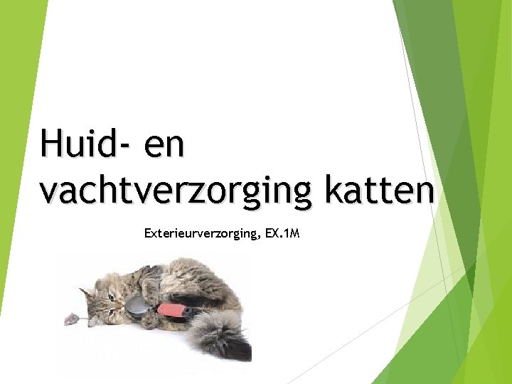 Huid- en vachtverzorging katten Exterieurverzorging, EX. 1 M 