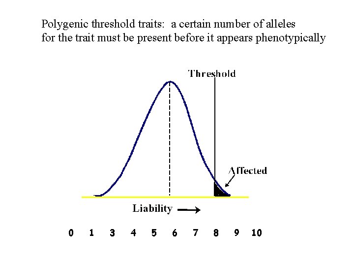 Polygenic threshold traits: a certain number of alleles for the trait must be present